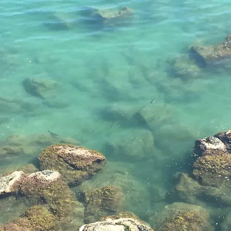 La Casetta Di Dory Sul Mare Apartamento